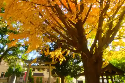 小金八坂神社(千葉県)