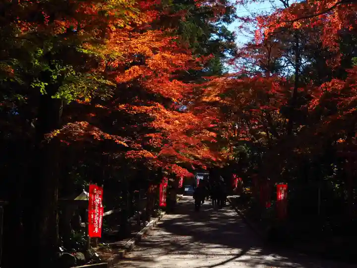 目の霊山 油山寺の自然