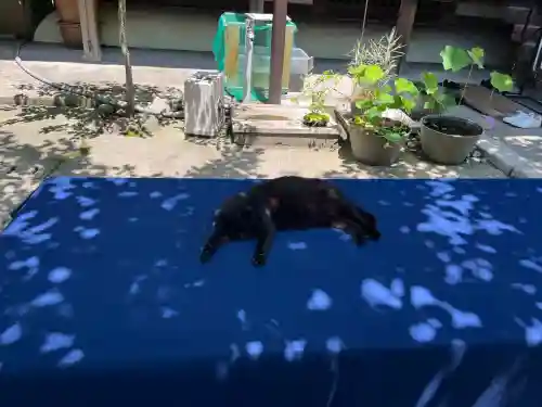 村雲御所瑞龍寺門跡(滋賀県)