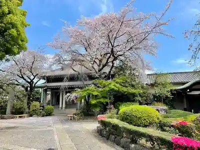 養福寺(東京都)