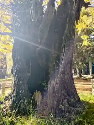 赤坂氷川神社(東京都)