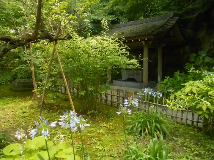 安國論寺(安国論寺)の自然