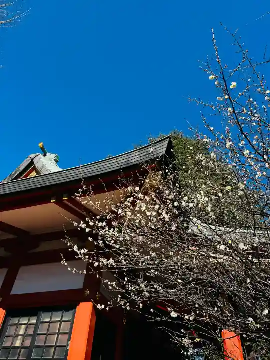 芝東照宮の{uncategorized: "未分類", other: "その他", undefined: "問題あり", building: "その他建物", grave: "お墓", sacred_gate: "鳥居", guardian: "狛犬", statue: "像", buddha: "仏像", history: "歴史", nature: "自然", garden: "庭園", animal: "動物", pagoda: "塔", temizu: "手水舎", mountain_gate: "山門・神門", sanctuary: "本殿・本堂", subordinate: "末社・摂社", art: "芸術", scenery: "景色", jizo: "地蔵", ema: "絵馬", goshuin: "御朱印", omikuji: "おみくじ", items: "授与品その他", amulet: "お守り", goshuincho: "御朱印帳", eats: "食事", festival: "お祭り", votive_dance: "神楽", shichigosan: "七五三参", wedding: "結婚式", experience: "体験その他", initially: "初詣", around: "周辺", anti_infection: "感染症対策"}