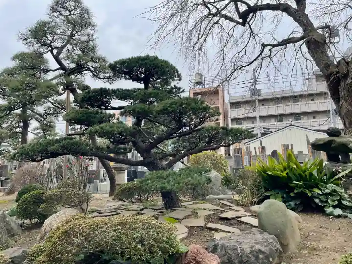 善慶寺の{uncategorized: "未分類", other: "その他", undefined: "問題あり", building: "その他建物", grave: "お墓", sacred_gate: "鳥居", guardian: "狛犬", statue: "像", buddha: "仏像", history: "歴史", nature: "自然", garden: "庭園", animal: "動物", pagoda: "塔", temizu: "手水舎", mountain_gate: "山門・神門", sanctuary: "本殿・本堂", subordinate: "末社・摂社", art: "芸術", scenery: "景色", jizo: "地蔵", ema: "絵馬", goshuin: "御朱印", omikuji: "おみくじ", items: "授与品その他", amulet: "お守り", goshuincho: "御朱印帳", eats: "食事", festival: "お祭り", votive_dance: "神楽", shichigosan: "七五三参", wedding: "結婚式", experience: "体験その他", initially: "初詣", around: "周辺", anti_infection: "感染症対策"}