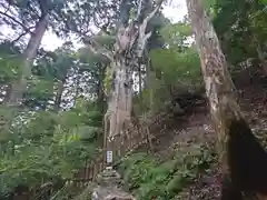 玉置神社(奈良県)