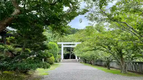 安房神社の鳥居