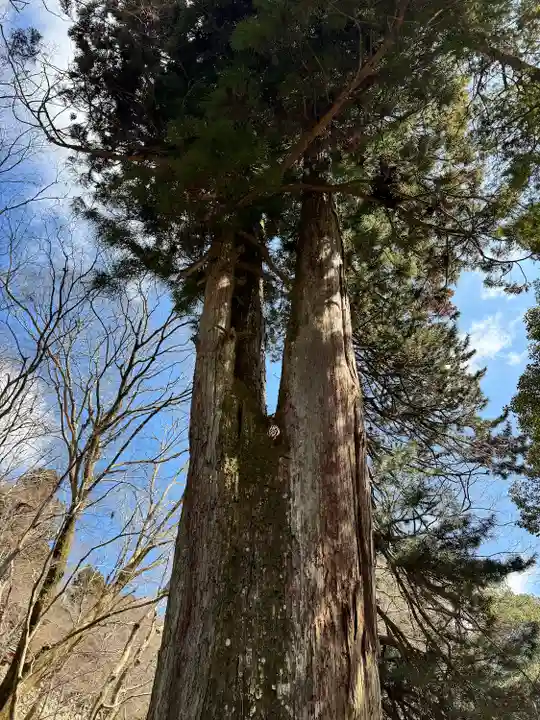 談山神社(奈良県)
