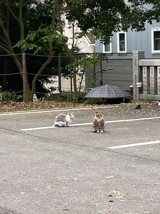 前原御嶽神社(千葉県)