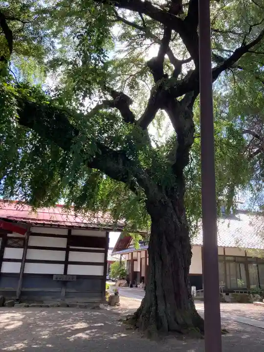 常楽寺(長野県)
