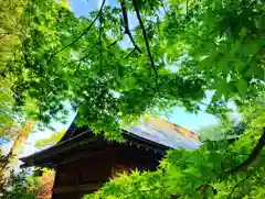 滑川神社 - 仕事と子どもの守り神の自然