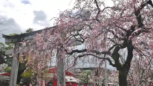 車折神社の自然