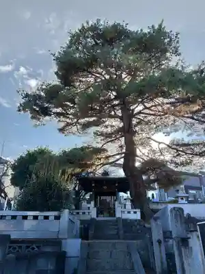 信松院(東京都)