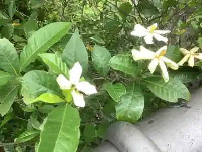 浄慈院(愛知県)