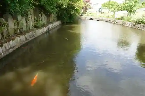 稗田野神社(薭田野神社)の庭園