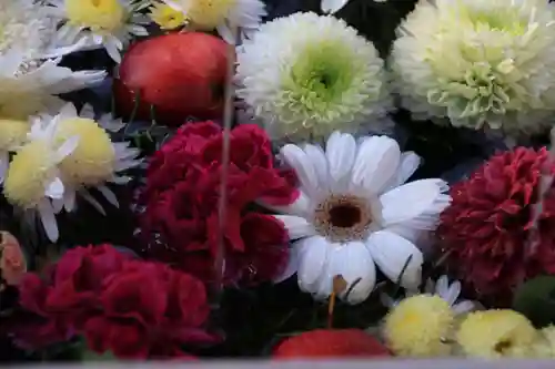 豊景神社の手水舎