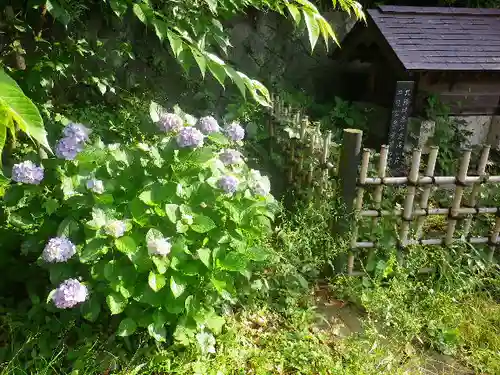 甘縄神明神社（甘縄神明宮）の自然