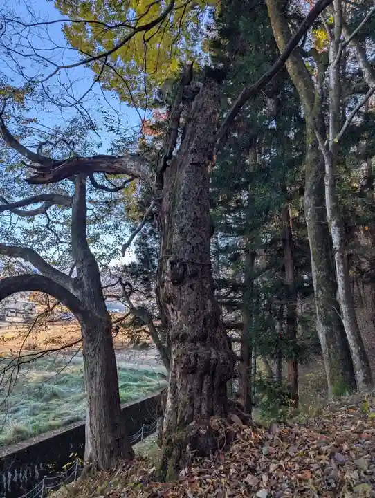 千野川社(長野県)