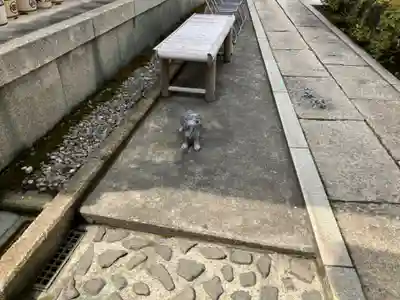 本妙院(東京都)