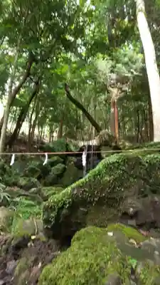 出雲大神宮(京都府)