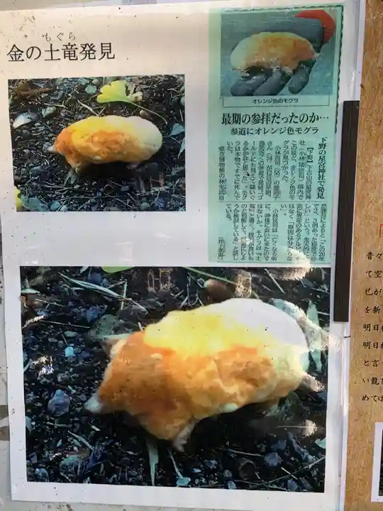 下野 星宮神社のその他建物