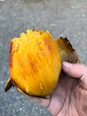 日蓮宗 総本山 塔頭 定林坊(じょうりんぼう)(山梨県)