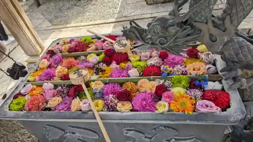 柳谷観音　楊谷寺(京都府)