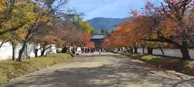 醍醐寺(京都府)