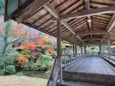 慧日寺(兵庫県)