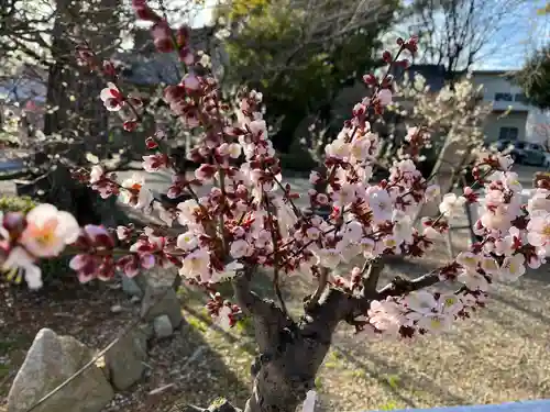 道明寺天満宮(大阪府)