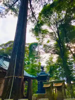 飯綱神社(愛宕神社奥社)(茨城県)