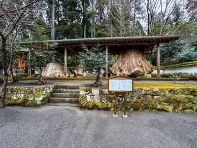 宇奈岐日女神社(大分県)