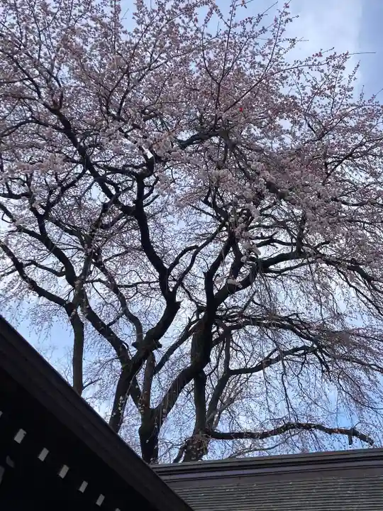 長野縣護國神社(長野県)