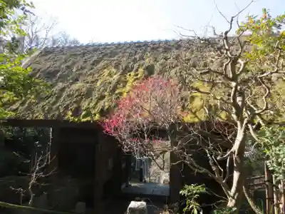 杉本寺の山門・神門