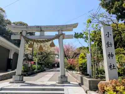 小動神社の{uncategorized: "未分類", other: "その他", undefined: "問題あり", building: "その他建物", grave: "お墓", sacred_gate: "鳥居", guardian: "狛犬", statue: "像", buddha: "仏像", history: "歴史", nature: "自然", garden: "庭園", animal: "動物", pagoda: "塔", temizu: "手水舎", mountain_gate: "山門・神門", sanctuary: "本殿・本堂", subordinate: "末社・摂社", art: "芸術", scenery: "景色", jizo: "地蔵", ema: "絵馬", goshuin: "御朱印", omikuji: "おみくじ", items: "授与品その他", amulet: "お守り", goshuincho: "御朱印帳", eats: "食事", festival: "お祭り", votive_dance: "神楽", shichigosan: "七五三参", wedding: "結婚式", experience: "体験その他", initially: "初詣", around: "周辺", anti_infection: "感染症対策"}