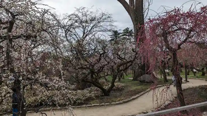 北野天満宮(京都府)