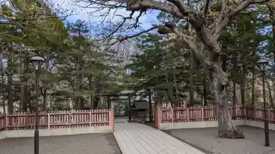 開拓神社の庭園