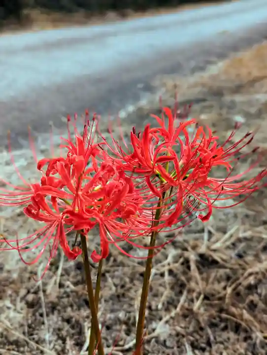 縣主神社(岡山県)