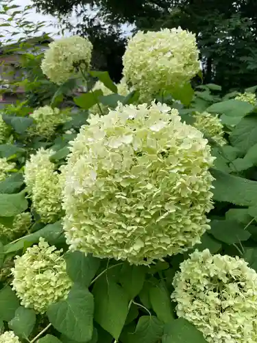 妻沼聖天山歓喜院の自然