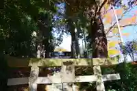 阿久津「田村神社」(郡山市阿久津町)旧社名:伊豆箱根三嶋三社の鳥居