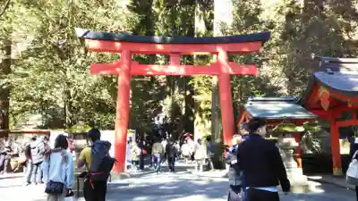 箱根神社の鳥居