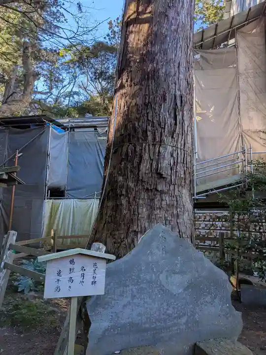 鹿島神宮(茨城県)