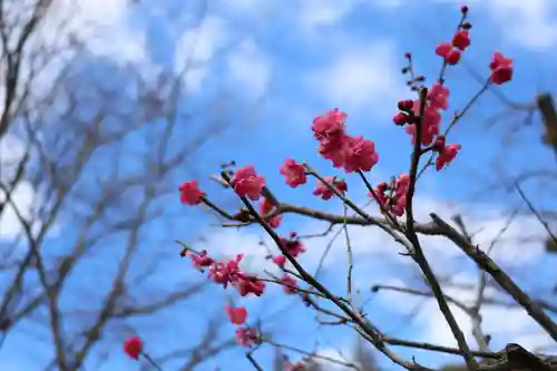 妙楽寺(神奈川県)