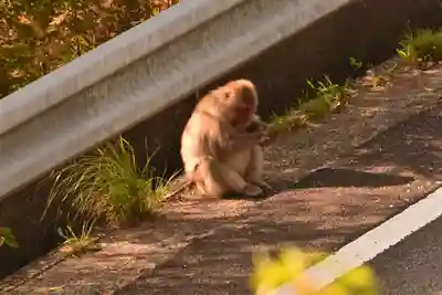 佛ヶ滝(香川県)