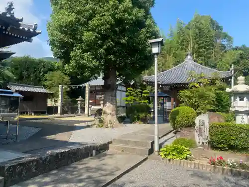 曼荼羅寺(香川県)