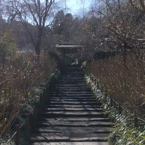 明月院(神奈川県)