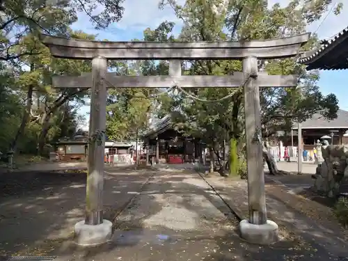 冨吉建速神社・八劔社（須成神社）の鳥居