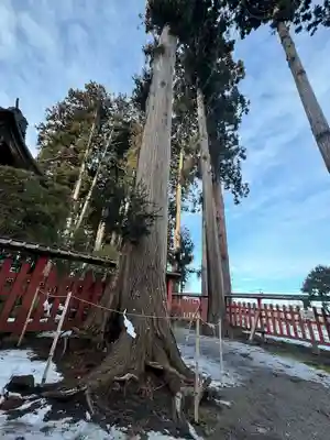 櫛引八幡宮(青森県)