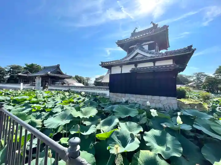 雲龍山 本證寺(愛知県)