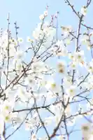 常樂寺(滋賀県)