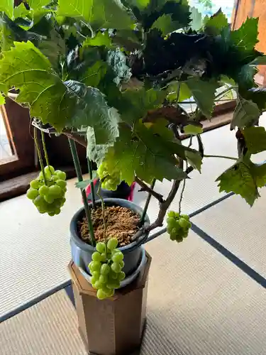 大善寺(山梨県)